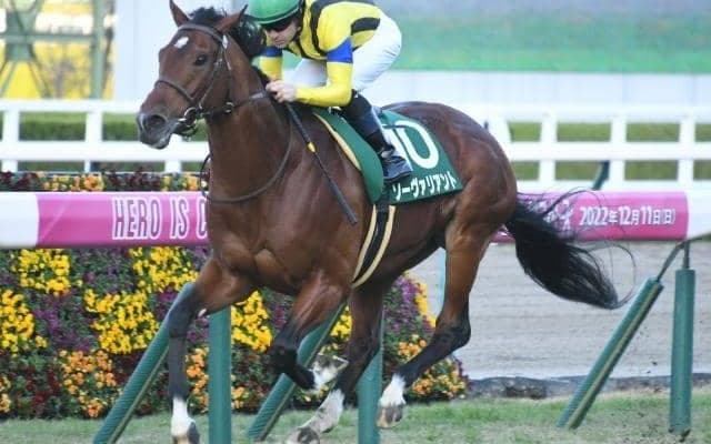 【鳴尾記念出走馬・騎手確定】ソーヴァリアント＆C.ルメール騎手、フェーングロッテン＆松若風馬騎手など15頭