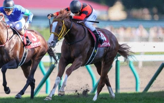 【安田記念】出走馬の調教後の馬体重