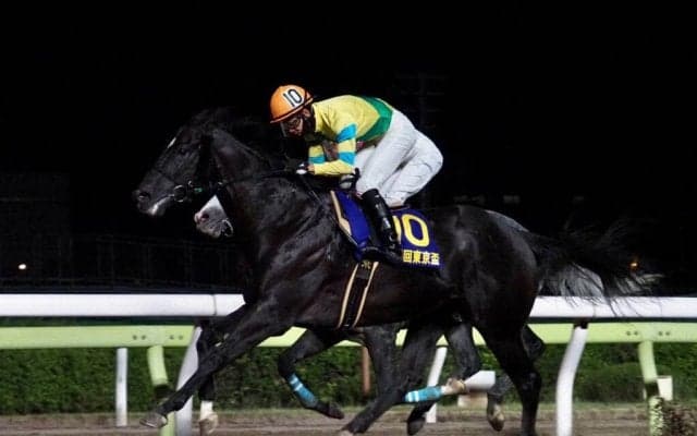 サクセスエナジーが競走馬登録抹消