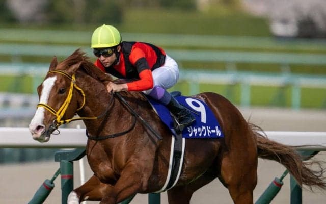 【武豊日記】新たな一面を見せてくれるはずとワクワクしています