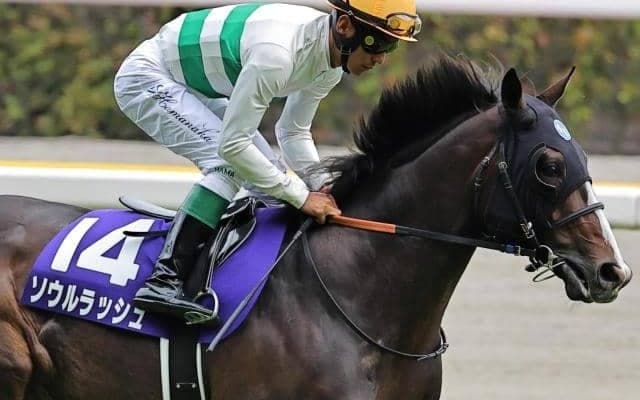 台風接近で週末の東京は雨予報 道悪の安田記念で浮上する重賞ウイナーとは？