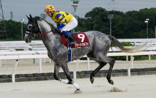 【園田・六甲盃】グリードパルフェがラッキードリームを競り落とす…赤岡「先に動いて自分のペースを作れた」