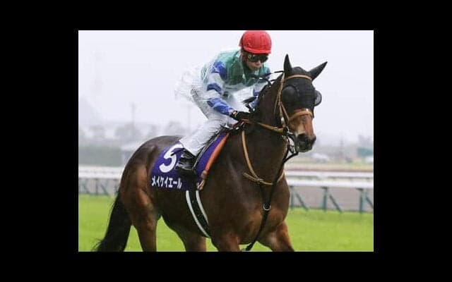 安田記念は高配当必至か 「穴党記者」は実力馬ながら低評価になりそうな２頭の激走に期待