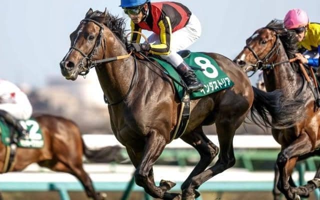 インダストリアやジャスティンカフェなど エプソムC出走想定馬18頭