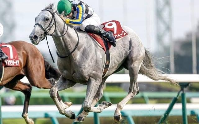 安田記念激走のカギは“季節適性”!? 明暗を分ける気候の変化