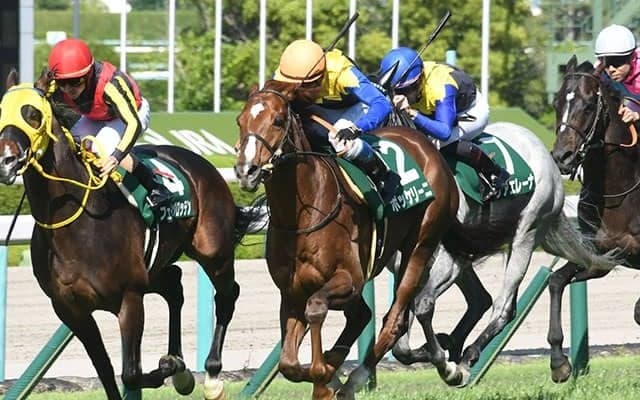 【鳴尾記念結果】ボッケリーニが早目先頭から押し切る