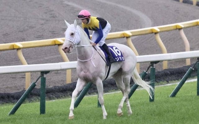 【安田記念】ソダシは3枠5番へ、セリフォス2枠4番へ