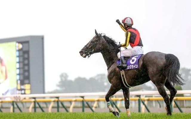 【今日の注目ポイント】上半期のマイル王決定戦・安田記念