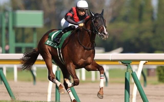 【安田記念予想】スピードや底力など“総合力”が試される上半期のマイル王決定戦