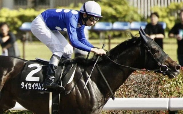 【アハルテケS】メイショウサムソン産駒 タイセイサムソンがオープン初勝利