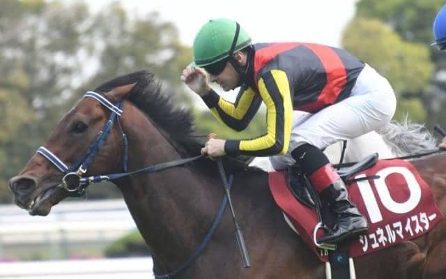 【安田記念・馬体重】シュネルマイスターは490kg(増減なし)、ソダシは486kg(-2)