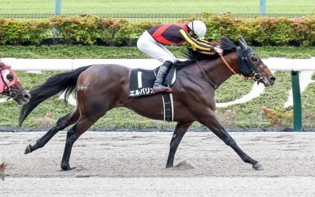 6→15→10番人気で3連単298万円 麦秋Sは人気馬総崩れで高配当に