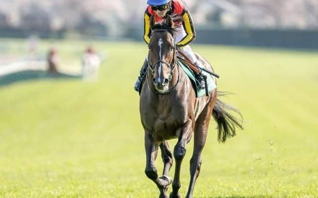 【エプソムC】インダストリア、ジャスティンカフェらが登録