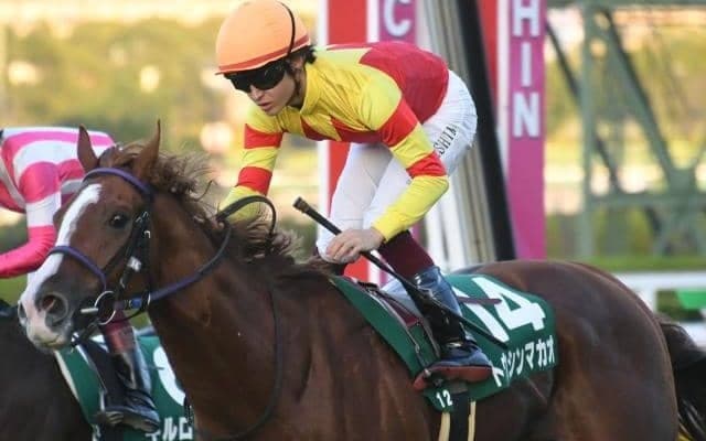 サマーシリーズ開幕戦・函館スプリントS 東京ではエプソムC/今週の競馬界の見どころ