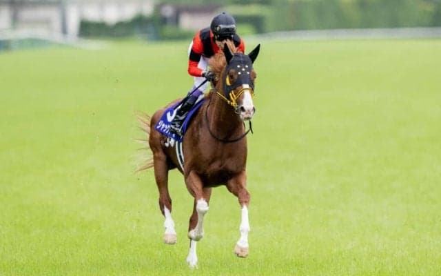 【安田記念】武豊騎乗、ジャックドール、ジョッキーカメラ映像が公開…ブレない映像に「流石としか言いようがない」と驚きの声