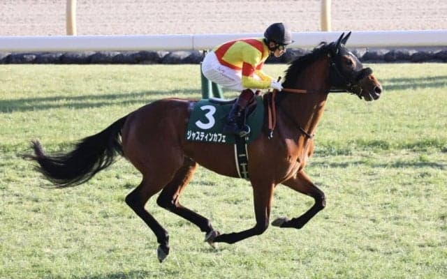 【エプソムカップ登録馬】ジャスティンカフェなど18頭