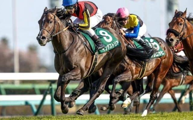 【エプソムC見どころ】インダストリアの重賞連勝なるか