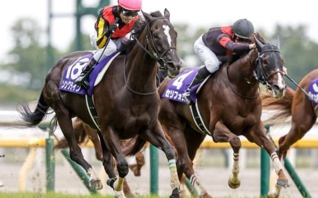 粗品氏「あと10mあれば…」 本命馬が上がり最速で追い込むもハズレ