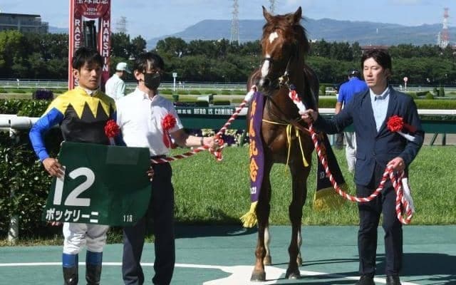 【鳴尾記念】売上は47億4647万4400円で約8億円増加