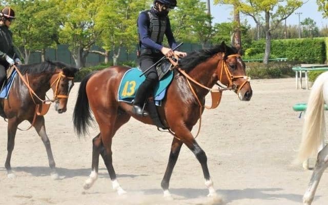 セレクトセールで4億9500万円 ダノンエアズロックはレーン騎手も認める素質馬/関東馬メイクデビュー情報