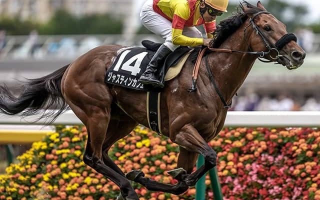 【エプソムC想定騎手】ジャスティンカフェは横山和生騎手、マテンロウスカイは横山典弘騎手