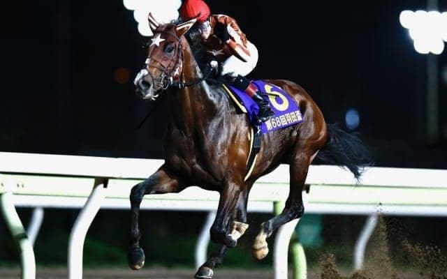 【東京ダービー枠順】羽田盃6馬身差圧勝のミックファイアは6枠12番