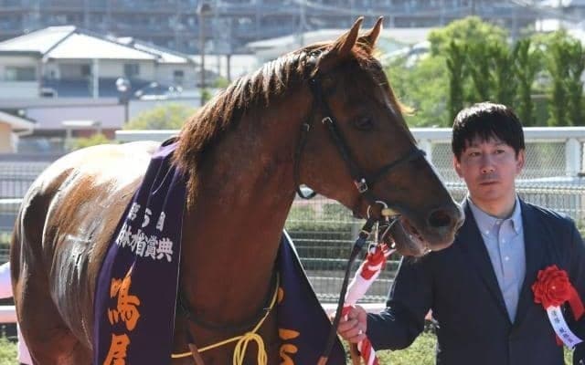 7歳馬の活躍が目立つ年 キングカメハメハ×ダンスインザダークは相性良好