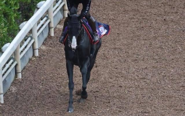 イクイノックス、宝塚記念へ向けて栗東滞在/栗東トレセンニュース