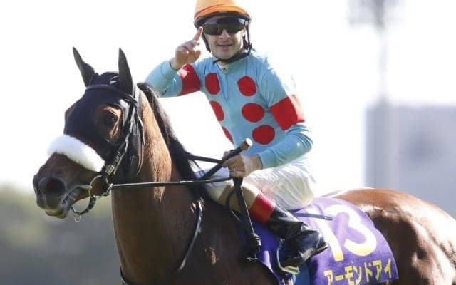 今年度はアーモンドアイが選出 キタサンブラックなど顕彰馬全35頭を紹介