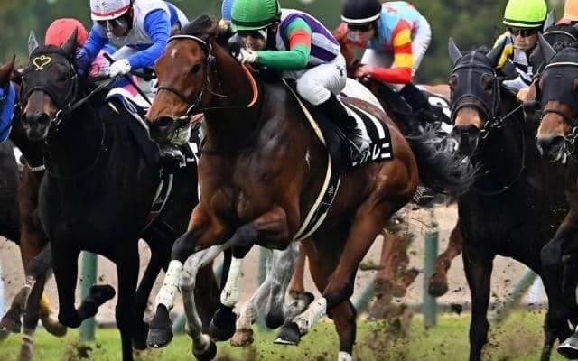 函館・札幌では5戦4勝 母譲りの洋芝適性で函館SSを制す