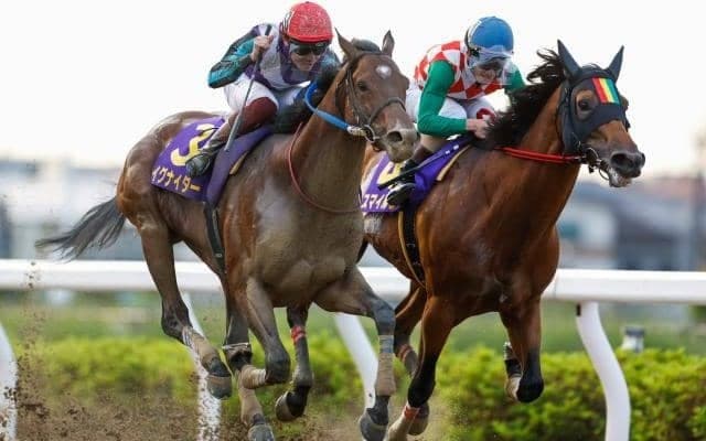 日本ダービーで蘇った悲しき記憶 亡き管理馬が繋げたイグナイターのさきたま杯勝利