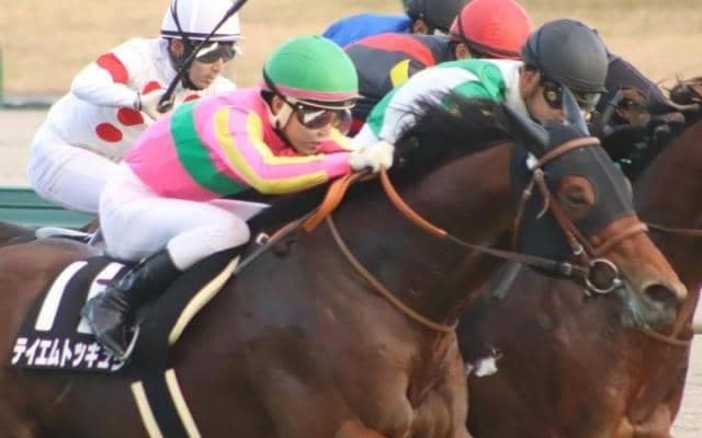 逃げ馬が強い函館SS 今年のハナ最有力候補は二の脚に抜群の速さ