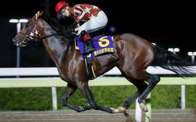 1着賞金5000万の大一番 19年ぶりに無敗のダービー馬誕生なるか/東京ダービー注目馬