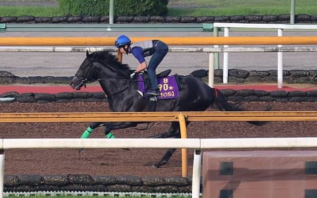 ジャスティンパレス、宝塚記念2週前追い切り速報/栗東トレセンニュース