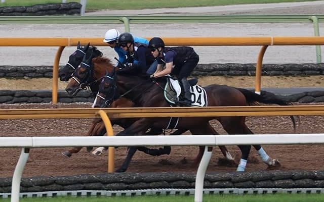 ヴェラアズール、宝塚記念2週前追い切り速報/栗東トレセンニュース