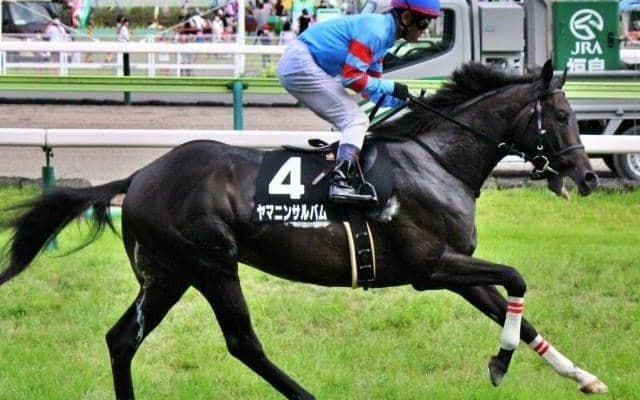 ヤマニン軍団 エプソムCで12年ぶりJRA重賞制覇なるか