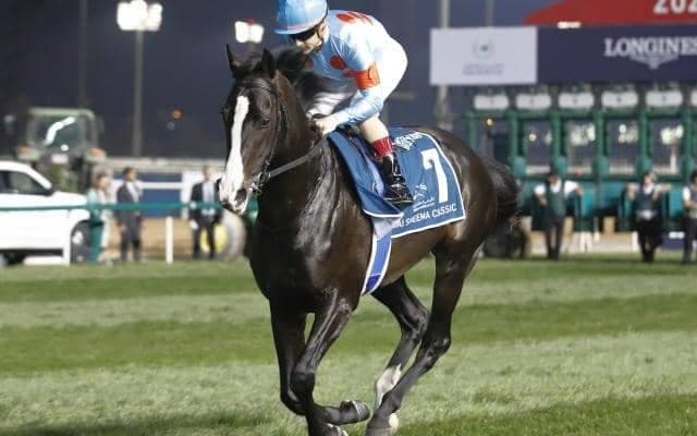 イクイノックスやジャスティンパレスなど 宝塚記念出走想定馬18頭