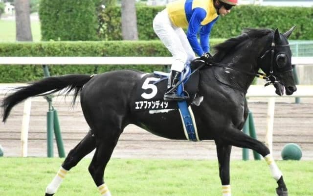かつてヒシアマゾンやアグネスデジタルらが達成 史上8組目の記録かかるエプソムカップ
