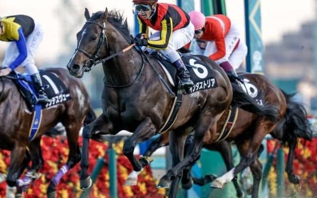 【エプソムC予想】今週はAIとの見解が一致！ 一筋縄ではいかないレースをどう攻略する？