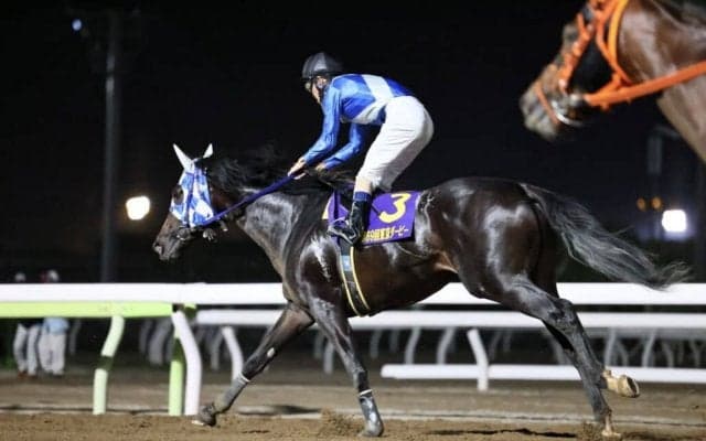 【東京ダービー】森泰斗「勝ち馬を褒めるしかない」ヒーローコールはまたしても2着