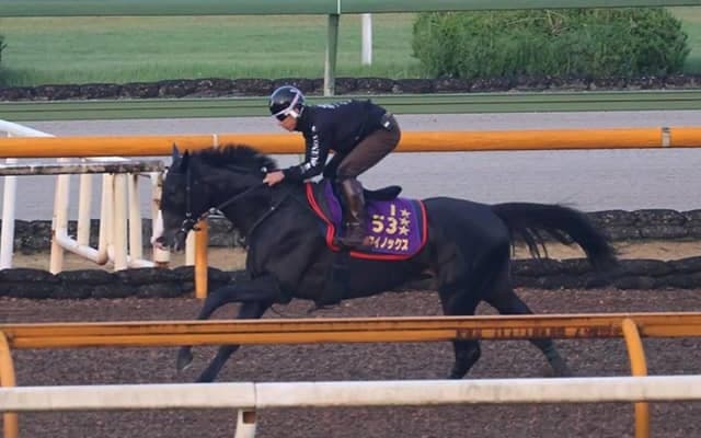 イクイノックス、宝塚記念2週前追い切り速報/栗東トレセンニュース