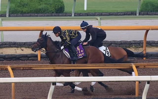 ダノンザキッド、宝塚記念2週前追い切り速報/栗東トレセンニュース