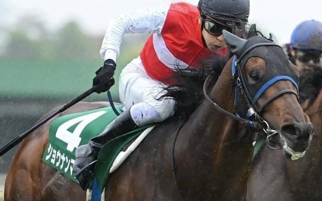 エプソムCは重賞未勝利馬が6連勝中！ 近年の傾向から浮かび上がる穴馬は…