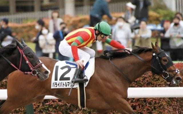 【関東オークス】JRA出走予定馬