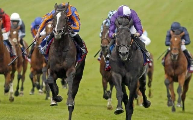 イクイノックスが変わらず世界1位 オーギュストロダンが8位にランクイン/ロンジンワールドベストホースランキング