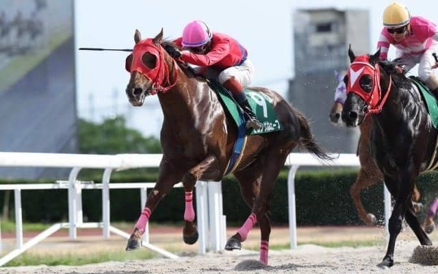 【笠松・飛山濃水杯結果】ヒロシゲウェーブが好位から押し切り重賞初制覇