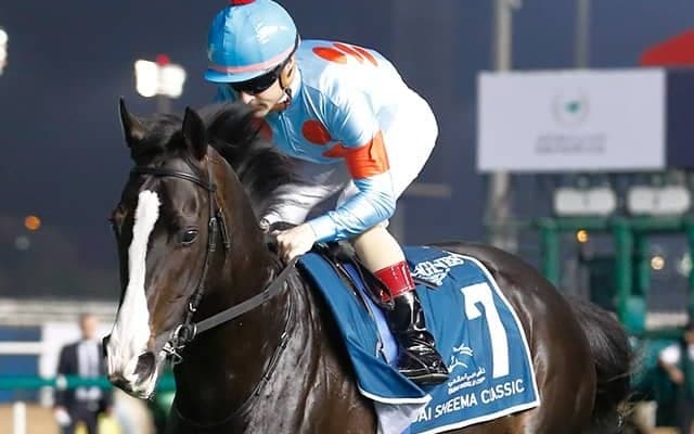 イクイノックスやジェラルディーナなど 宝塚記念出走想定馬18頭