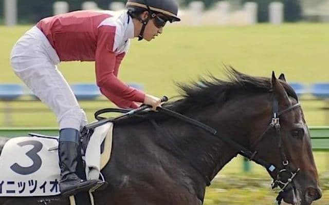 【土曜東京12R】前走が超ハイレベル戦 イニッツィオが力の違いを見せる