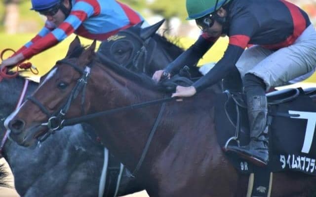 近2戦の敗因は道悪が全て タイムオブフライトが良馬場で巻き返す