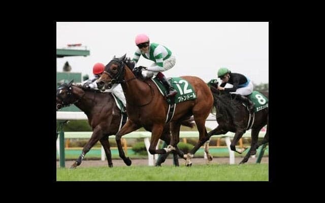 函館スプリントＳは「函館・芝1200ｍ」で連対率33.3％を誇る種牡馬に注目 人気薄のロードカナロア産駒に激走データも